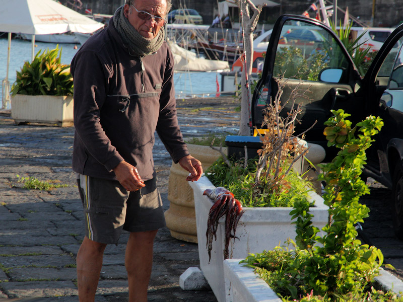 Глазами очевидцев: рыбаки ловили кальмаров. Утро в Наксосе